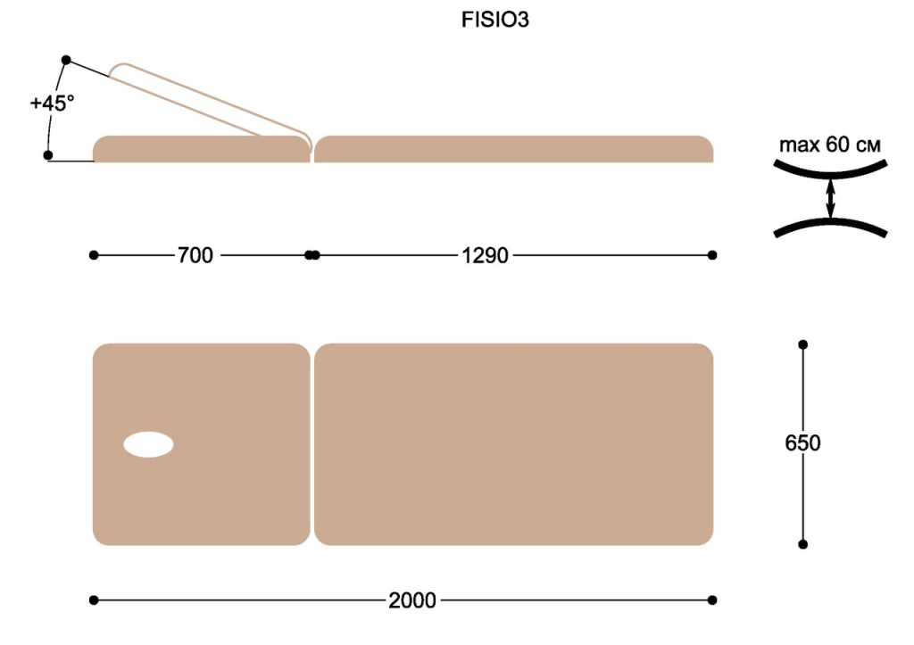 FISIO3.jpg