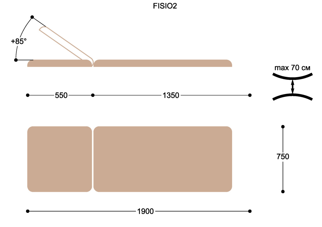 FISIO2.jpg